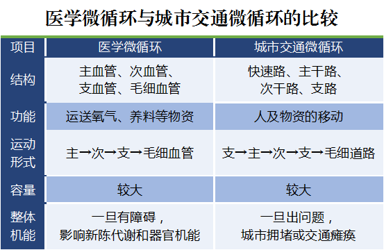 图6 医学微循环与城市交通微循环比较